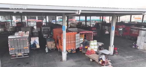 年貨市場消費旺 菜籃子 供得上 確保群眾歡樂祥和過節